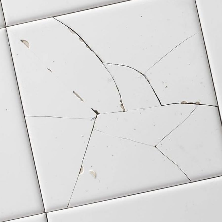 Cracked Tile Replacement